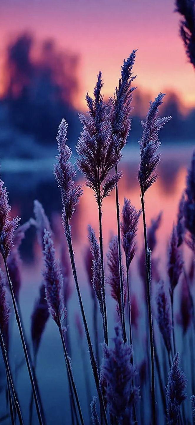Cozy Pastel Books Aesthetic Wallpaper HD 4K