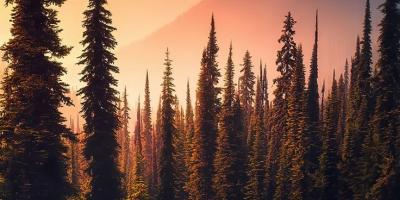 nature-backgrounds