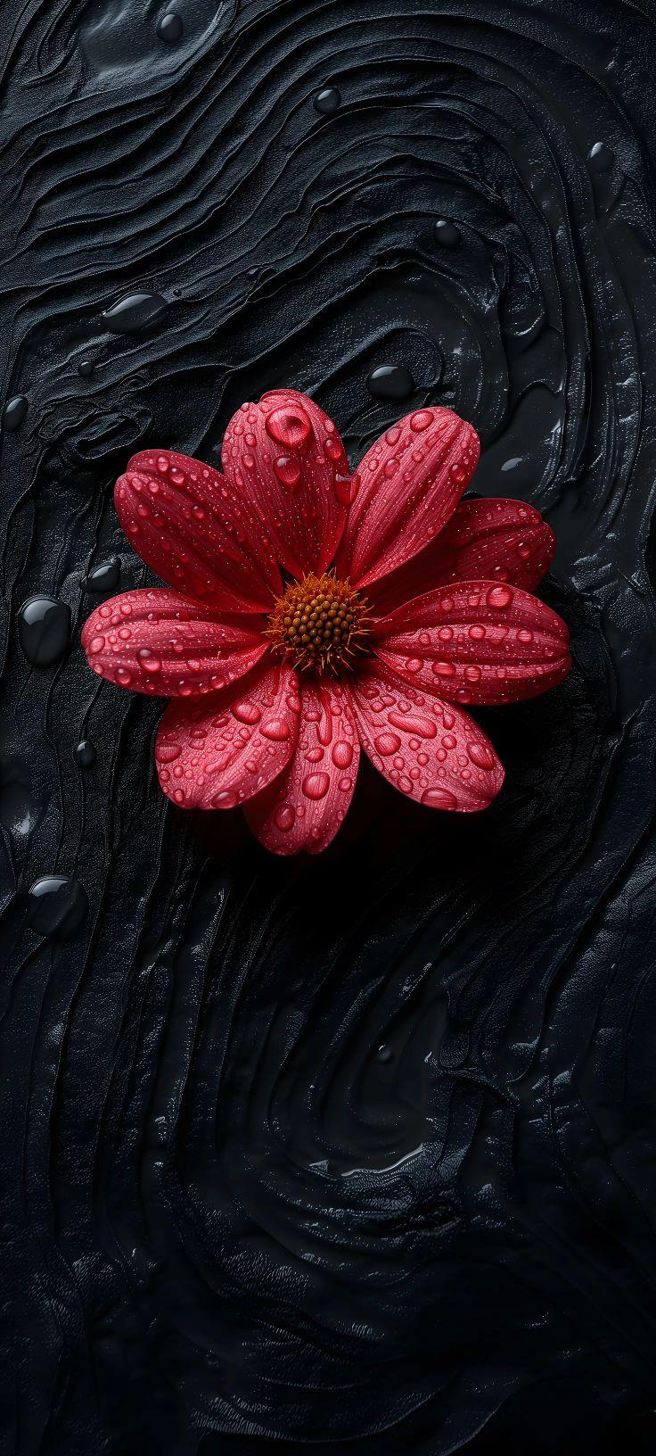 Crimson Noir Bloom Wallpaper
