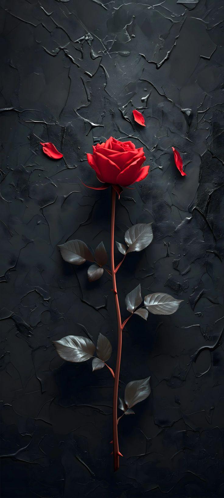 Crimson Shadow Rose Wallpaper