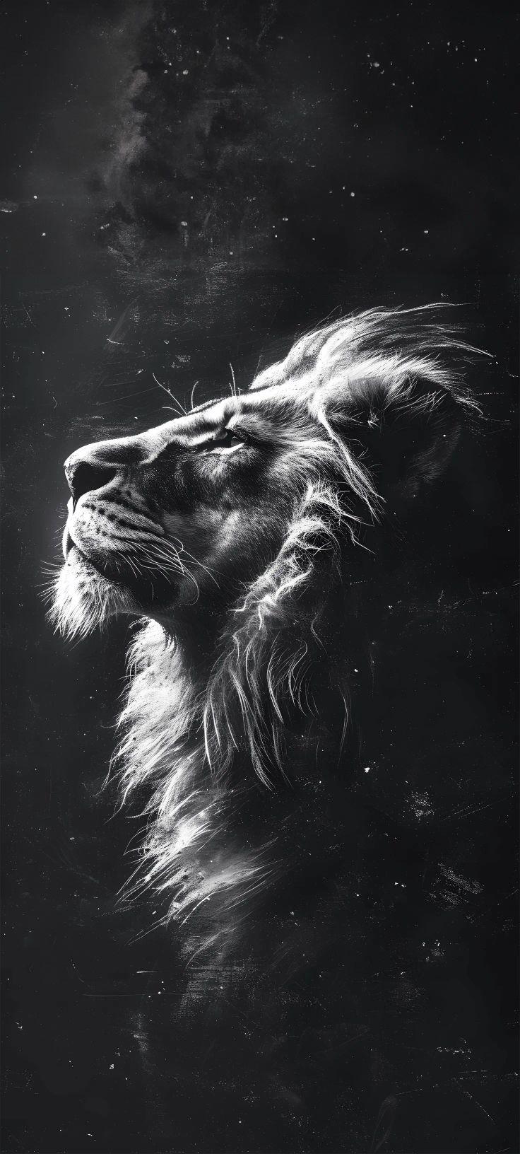 Majestic Shadow Lion Wallpaper