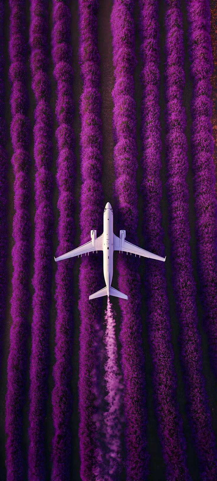 White Airplane Flying Over Purple Lavender Field Wallpaper