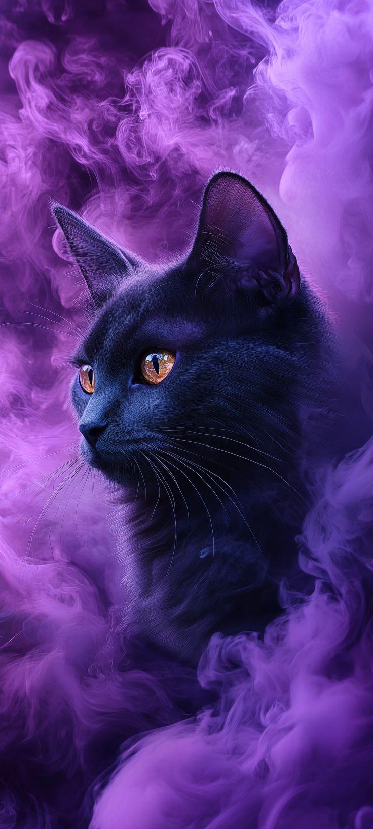 Black Cat Purple Smoke Wallpaper