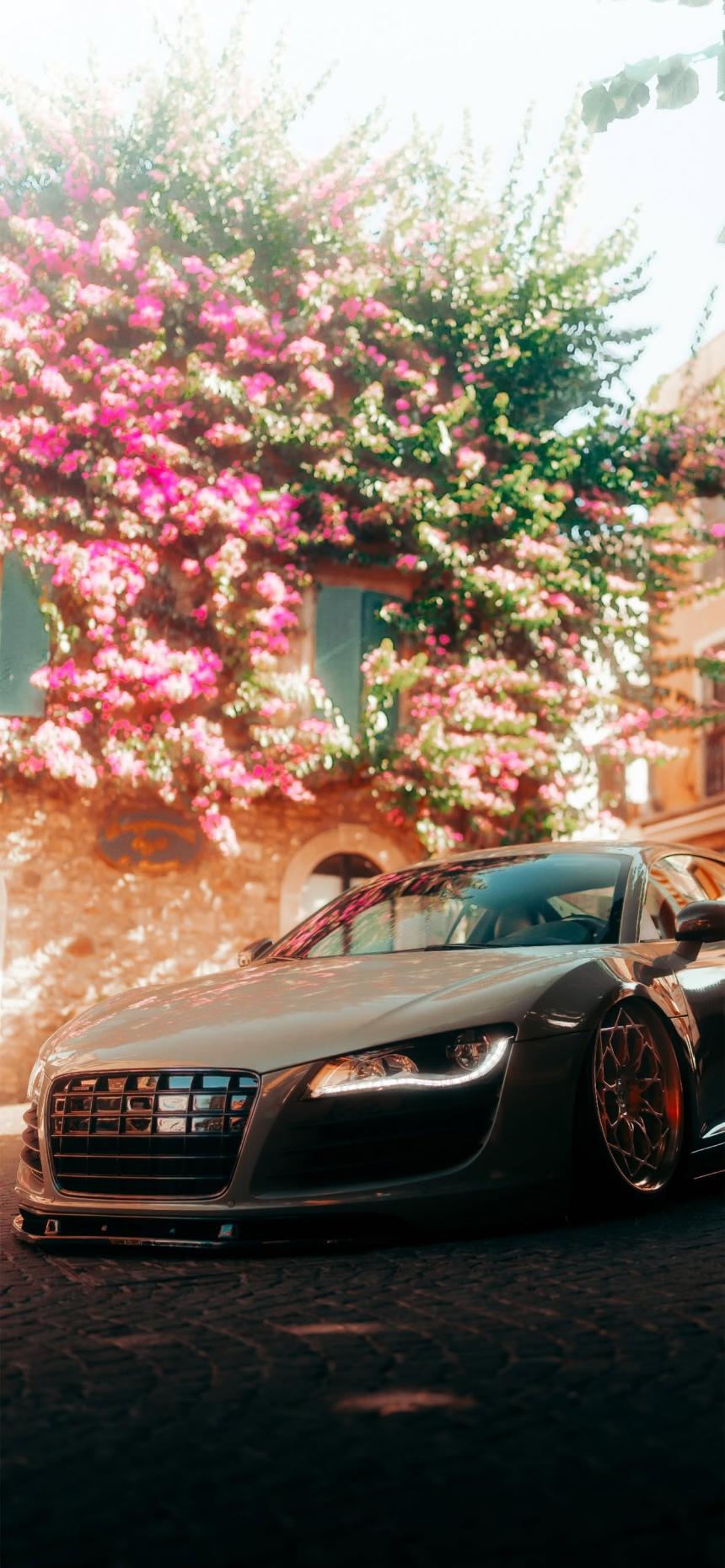 Cinematic Audi R8 Bougainvillea Street Wallpaper