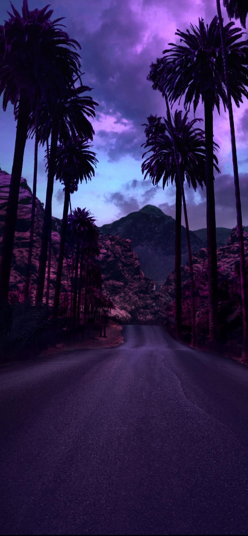 Purple Palm Road Wallpaper