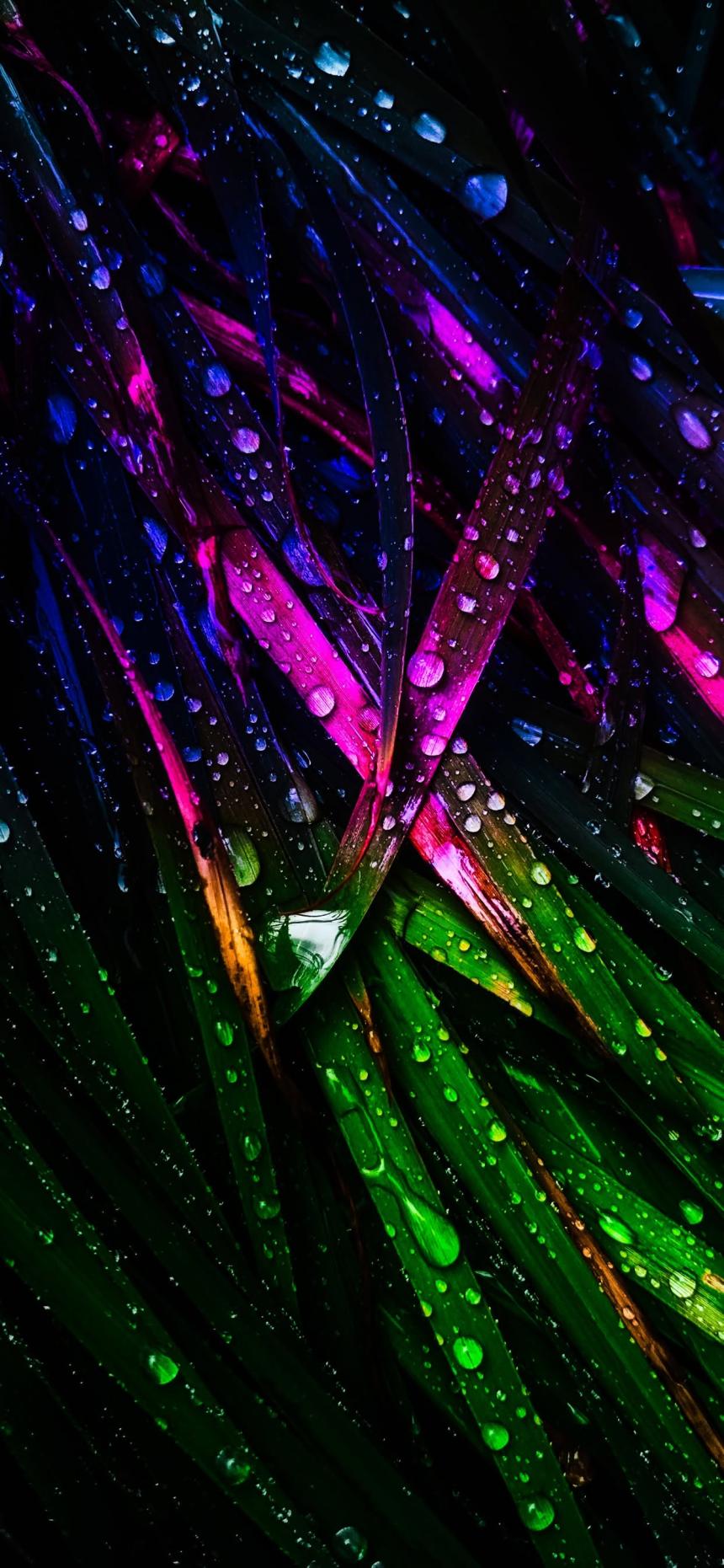 Neon Rainforest Leaves Wallpaper – Vibrant Tropical Dew Drops 4K