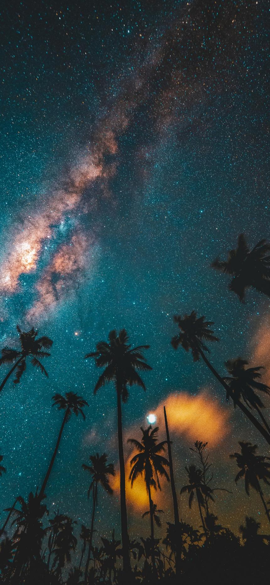 Tropical Milky Way Night Sky Wallpaper