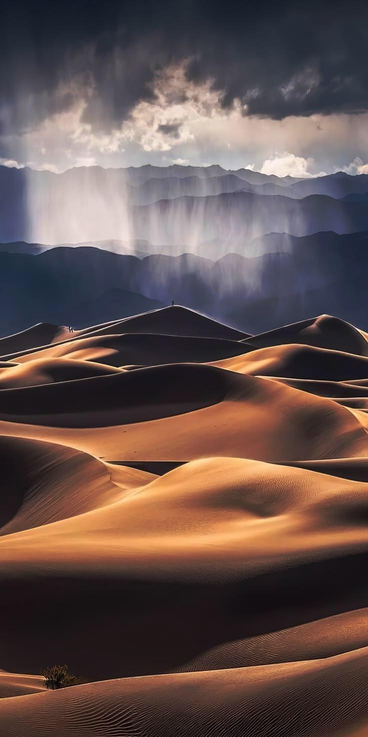 Golden Dunes Dark Sky Wallpaper