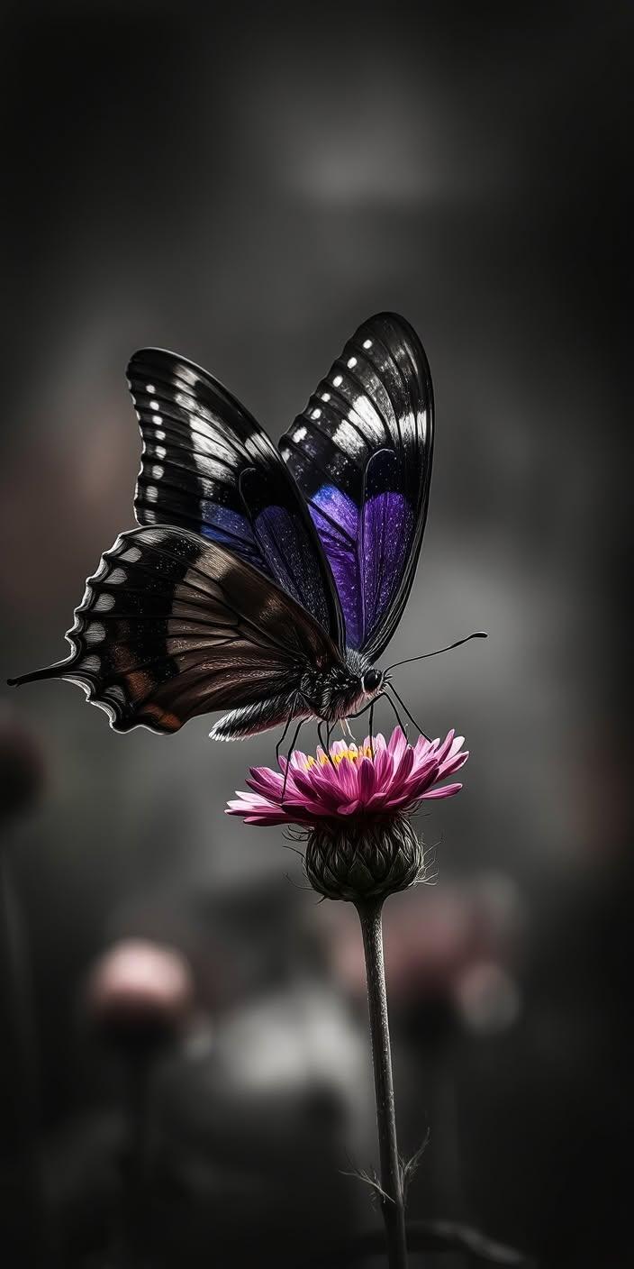 Elegant Purple Butterfly Wallpaper