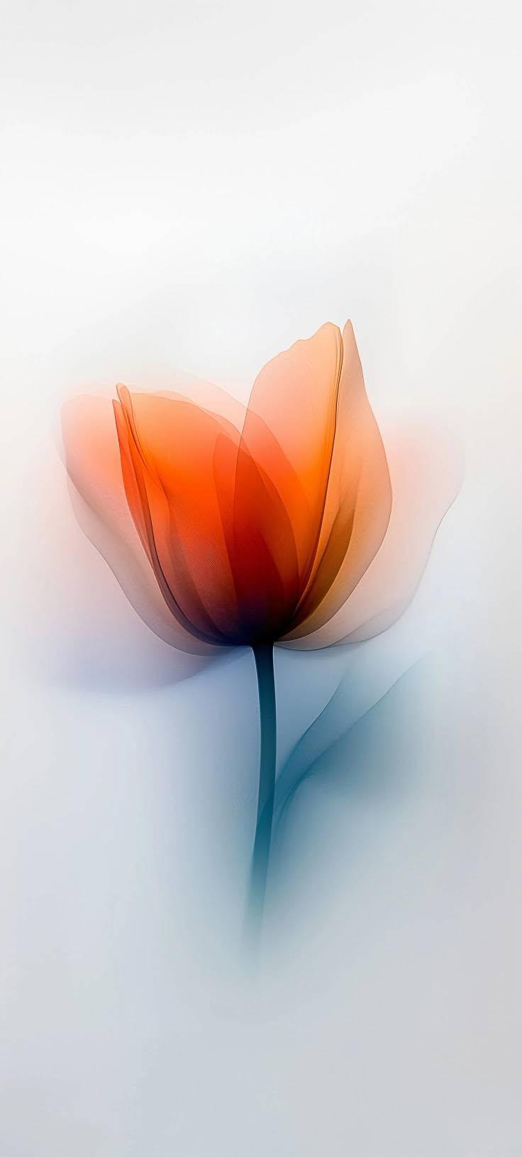 Minimalist X-Ray Tulip Wallpaper
