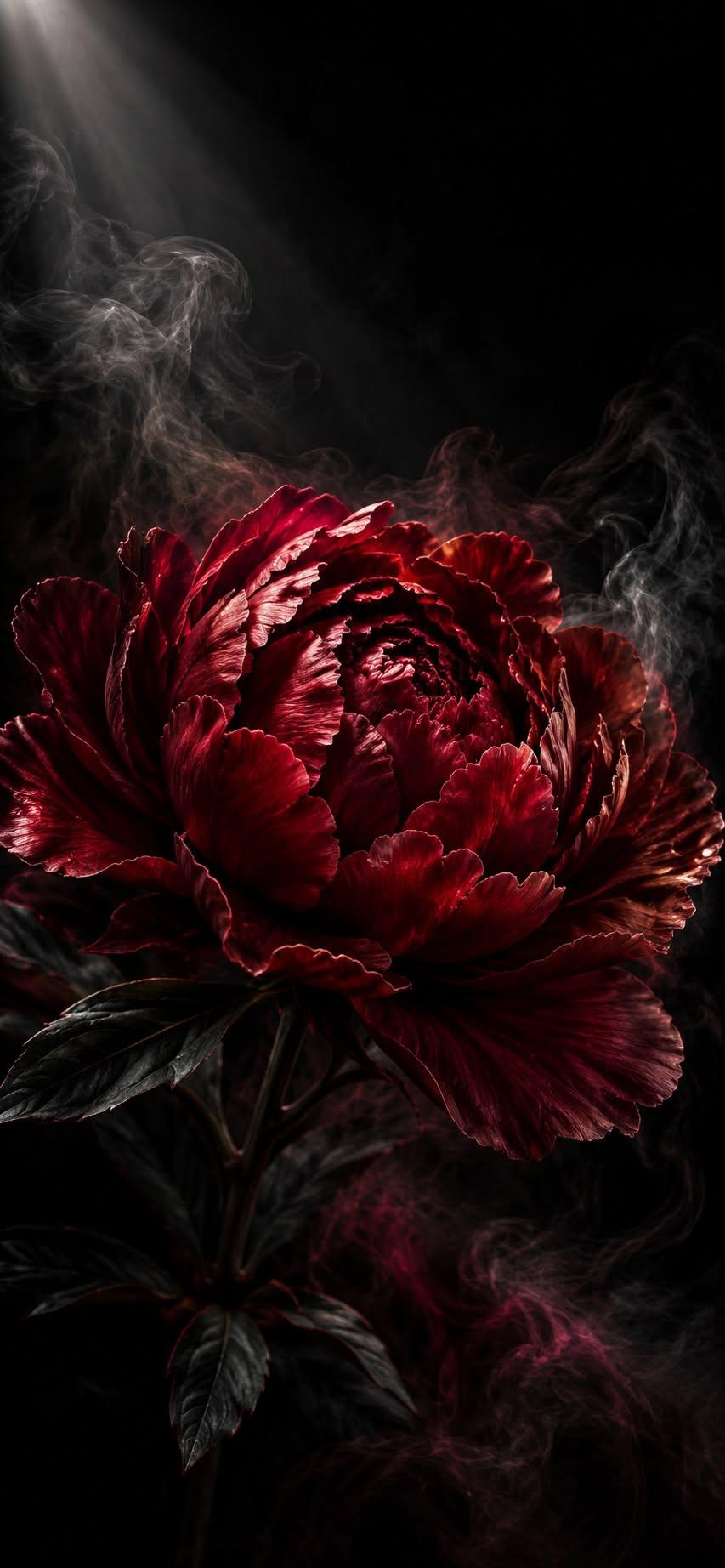 Black iPhone Wallpapers