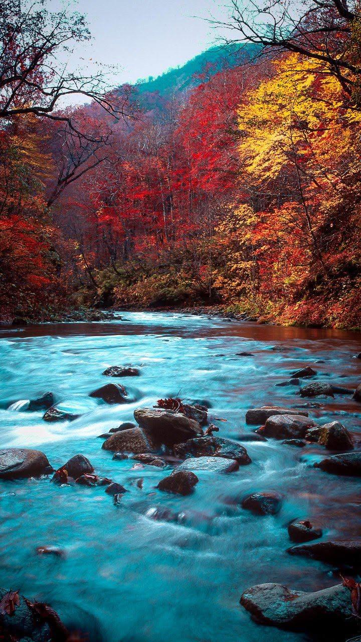 Turquoise River in Autumn
